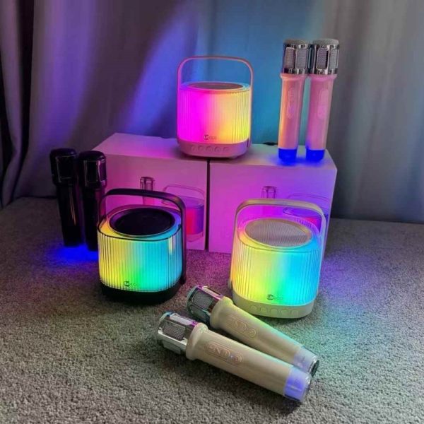 Lecoo Bluetooth Karaoke Speaker
